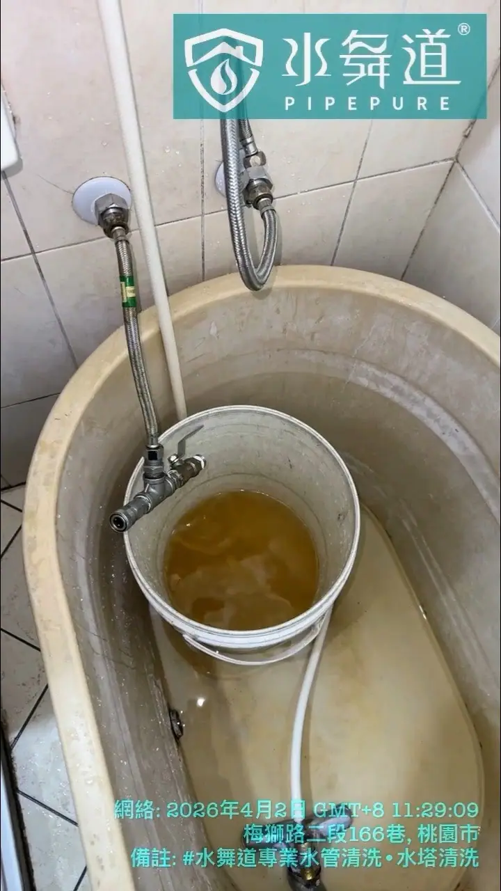 楊梅梅獅路水管清洗，浴缸內承接水桶可見熱水排出鏽黃色水體