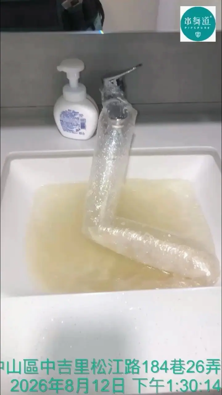 屋主全屋翻修但保留原有水管，因此安排水管清洗作為入住前管線保養