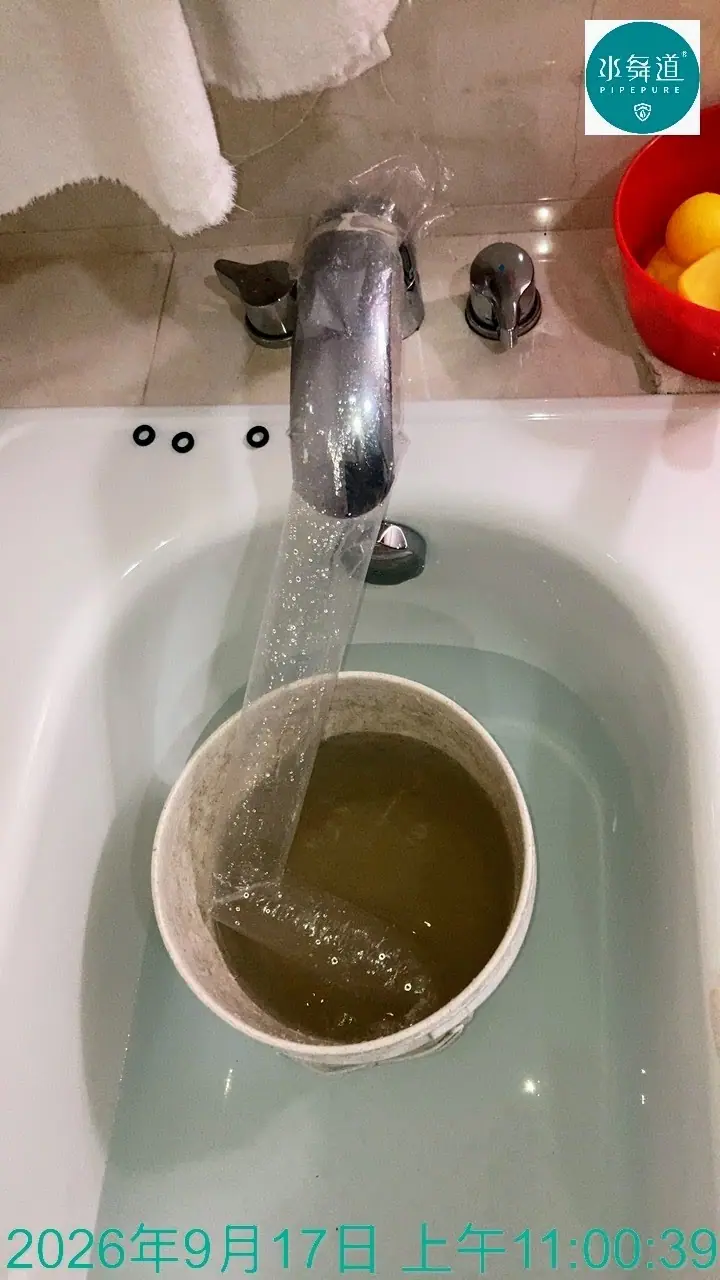 桃園中壢大勇四街13年透天水管清洗保養案例
